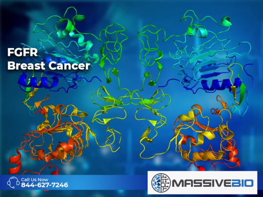 fgfr breast cancer 01