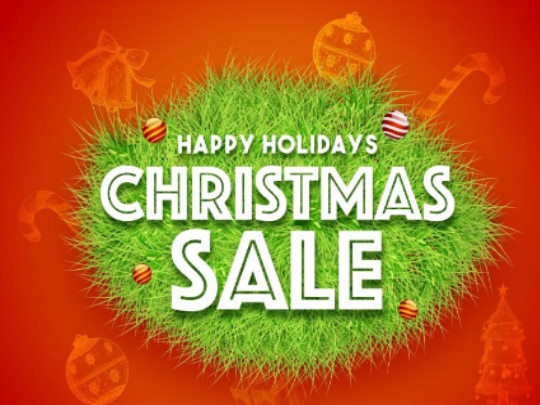 Holidays Savings