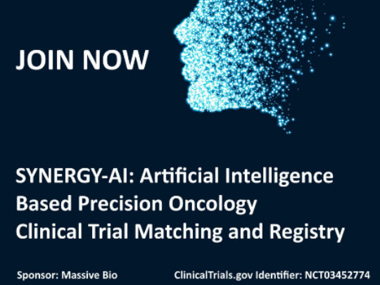 SYNERGY AI registry