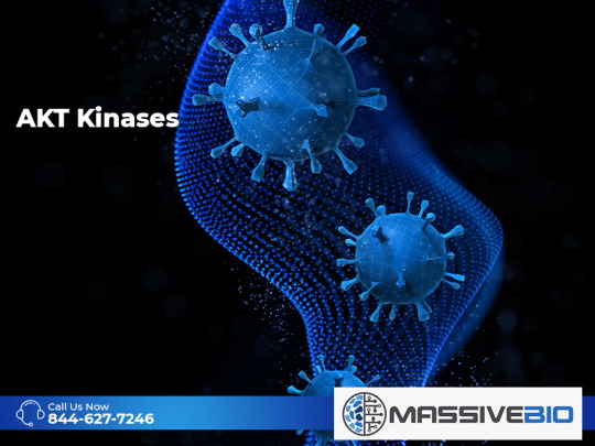 akt kinases 01