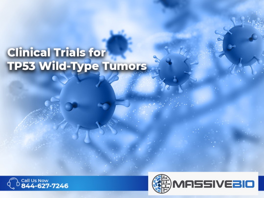 clinical trials for tp53 wild type tumors 01
