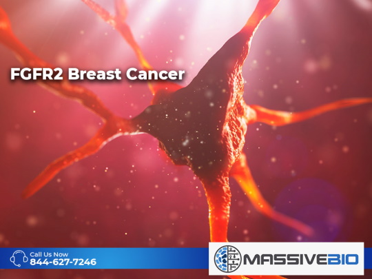 fgfr2 breast cancer 01