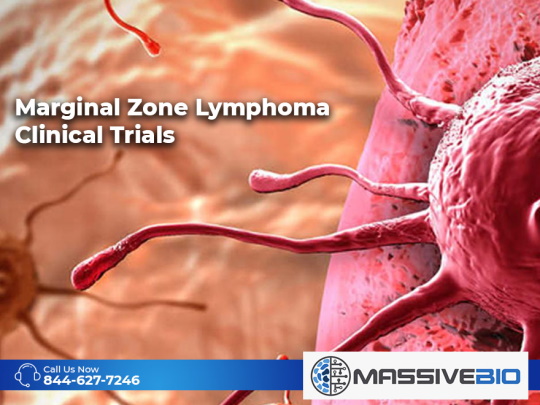 marginal zone lymphoma clinical trials 01
