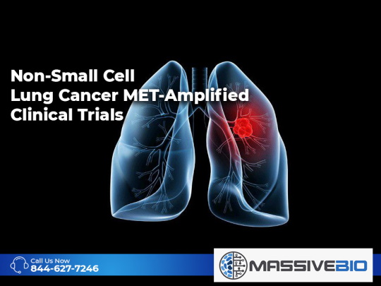 non small cell lung cancer met amplified clinical trials 01