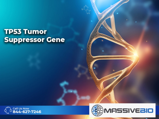 tp53 tumor suppressor gene 01