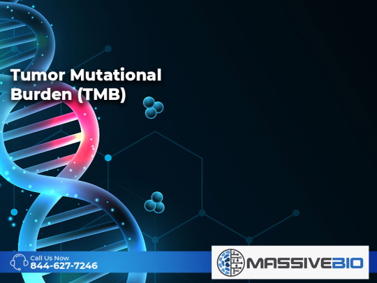 tumor mutational burden tmb 01