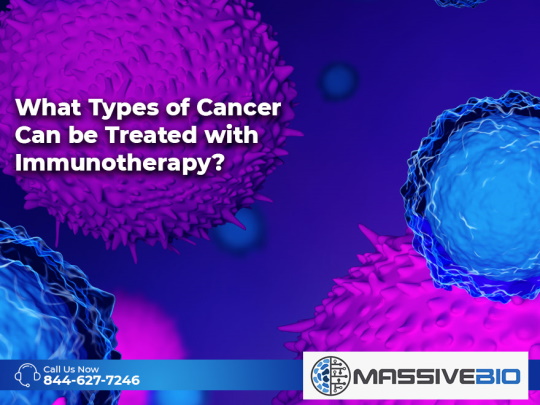 what types of cancer can be treated with immunotherapy 01
