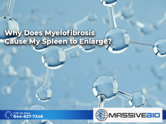 why does myelofibrosis cause my spleen to enlarge 01