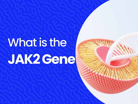 What is the JAK2 Gene?