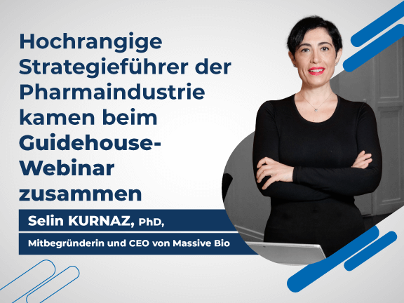 Guidehouse 576x432 germany