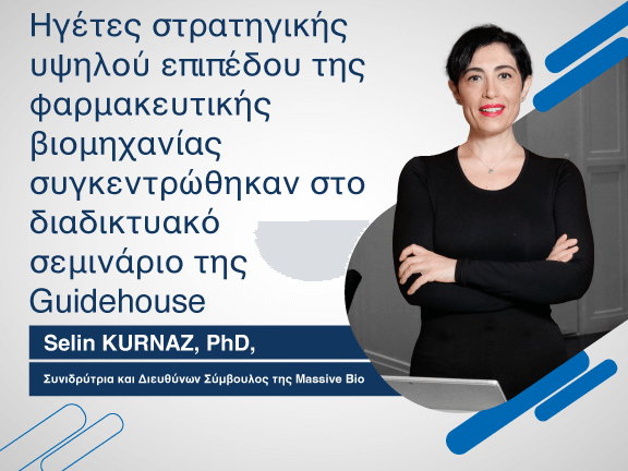 Guidehouse 576x432 greek