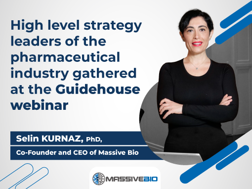 Selin Guidehouse 510x382 1