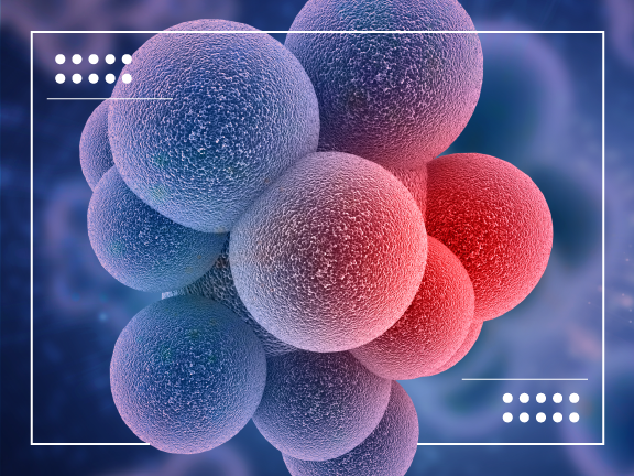 germ cell cancer